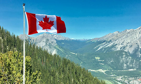 Canada Considers Softwood Lumber Export Limits to US Amid Trade Tensions