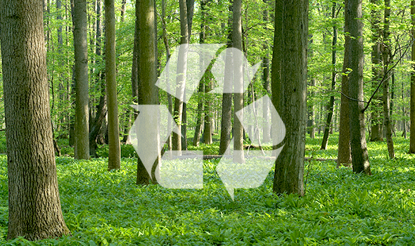Biodegradable Cards: Sustainable Packaging Made Easy